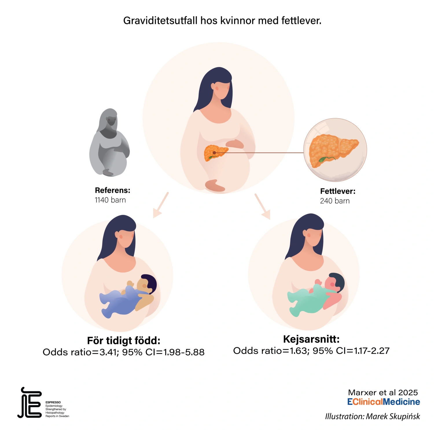 Illustration av forskningsresultat