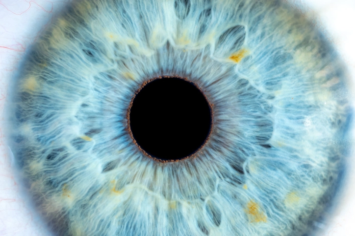 The eye is used as a window to study liver health