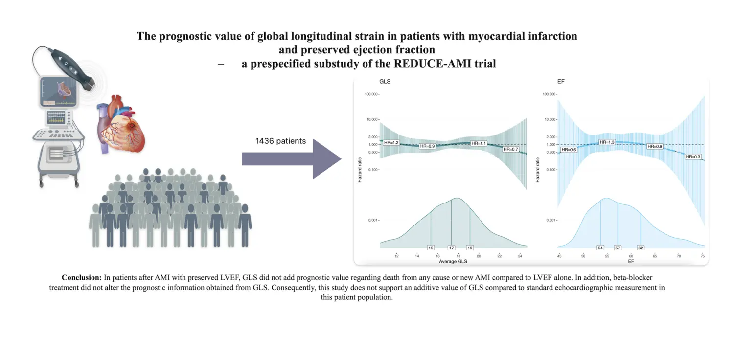 Graphical abstract R-ECHO