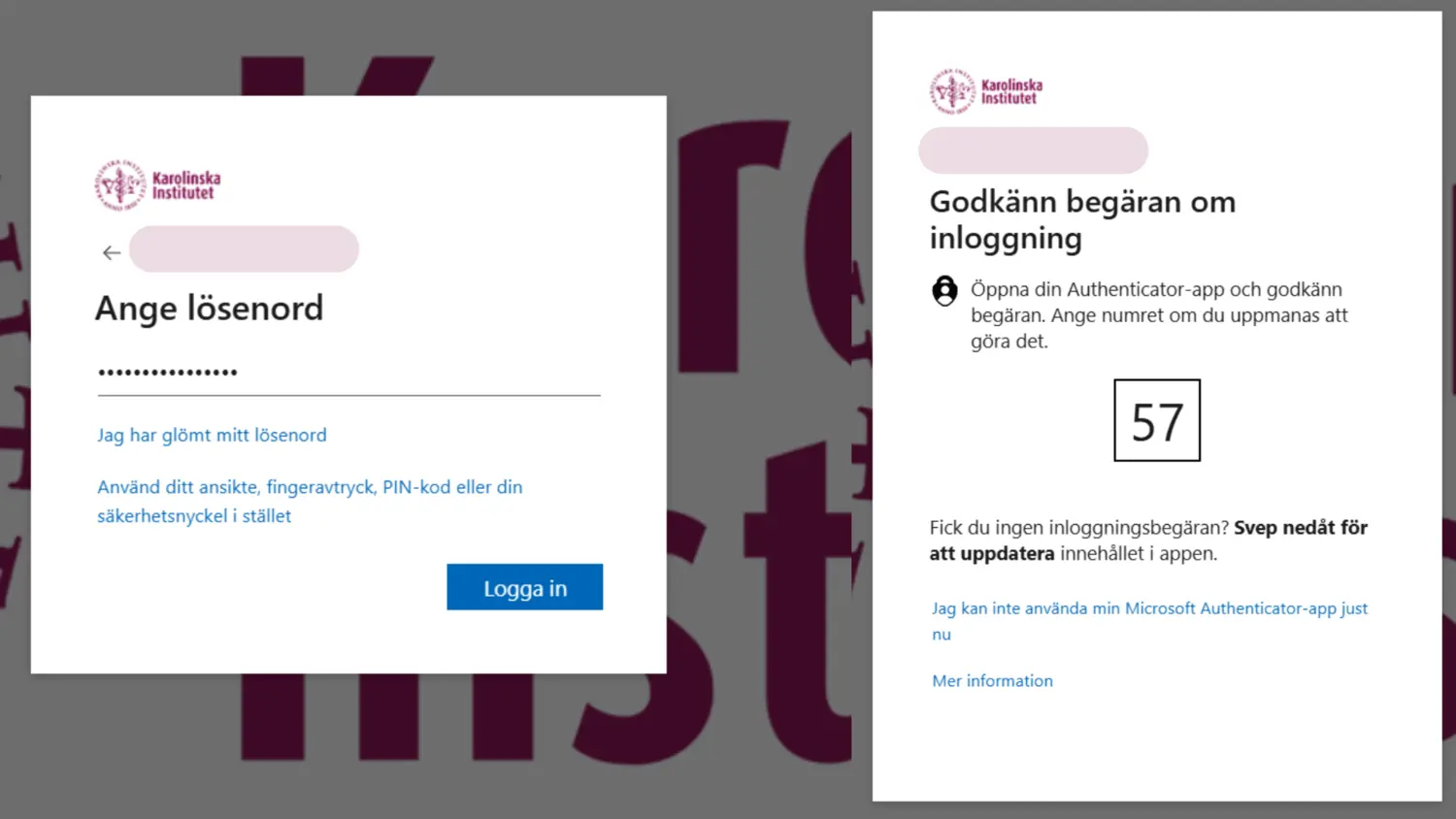 Skärmbild som visar inloggningsflöde.
