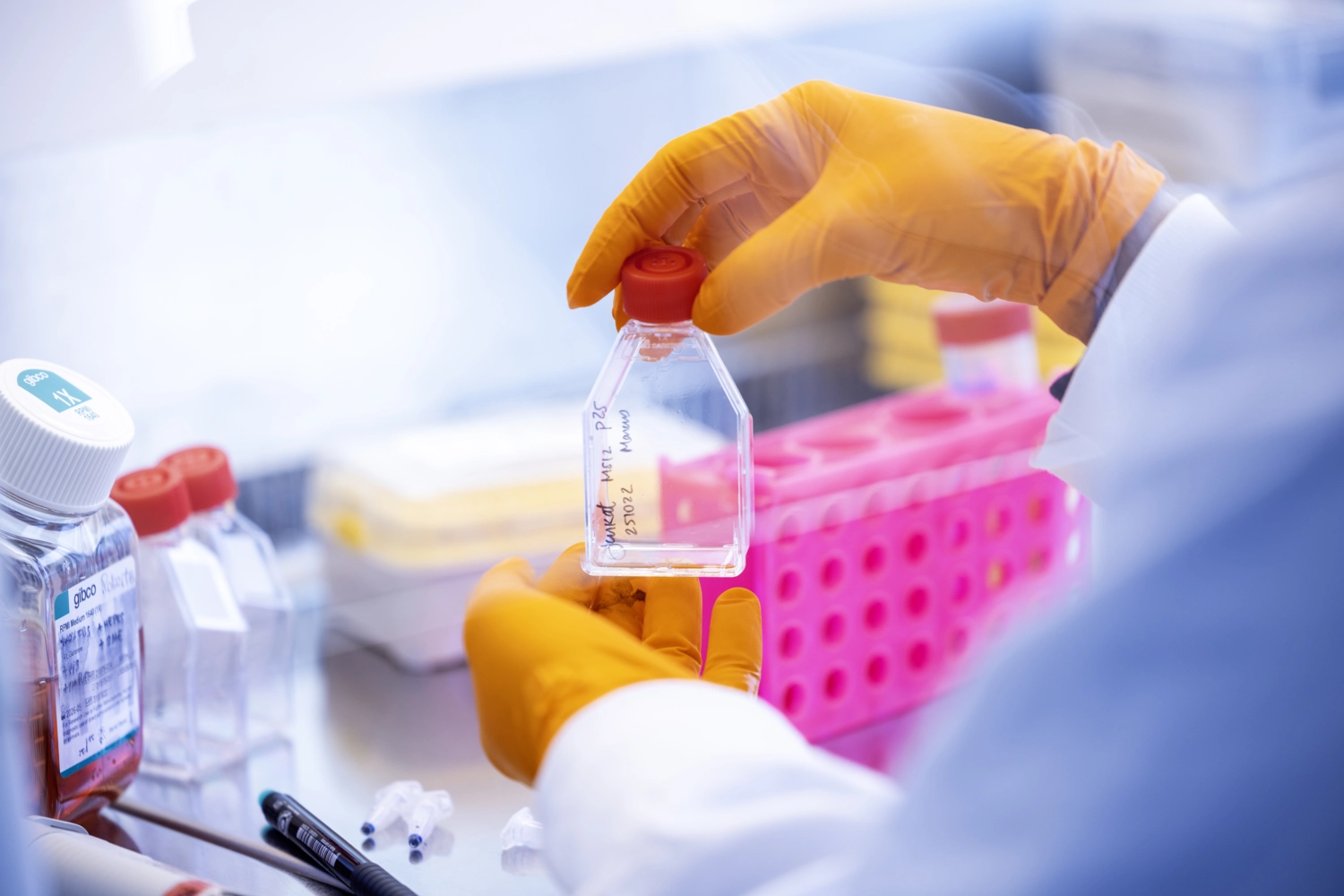 Le Fonds Cancer et Allergie soutient la recherche sur le cancer à KI