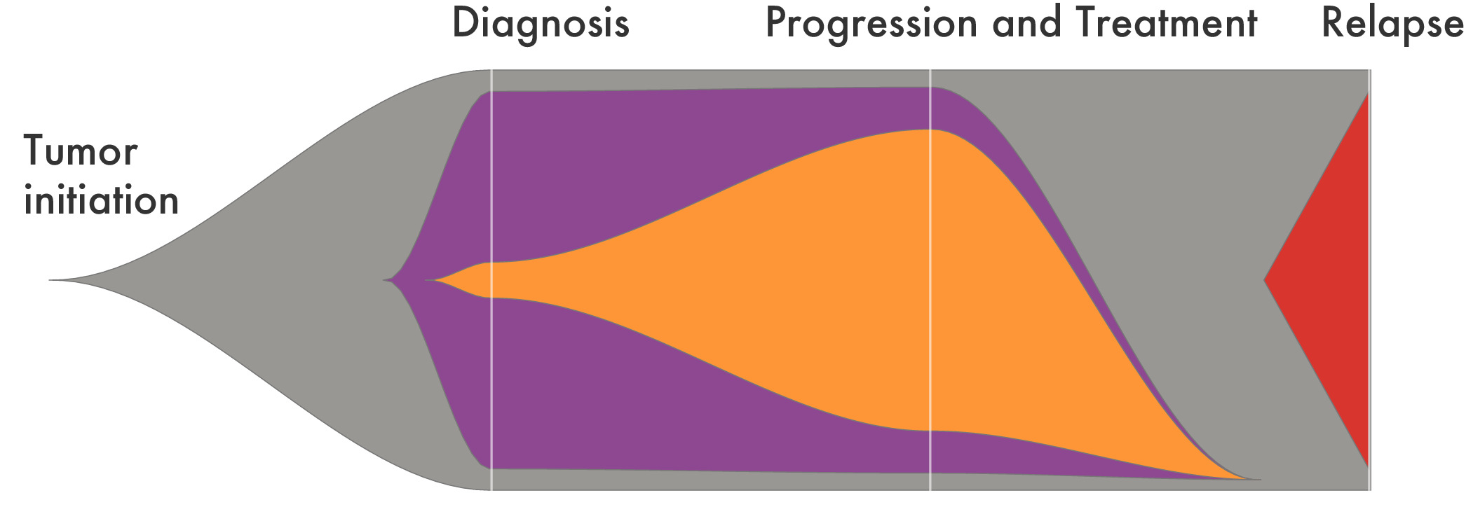 Blood Cancer Complexity: New Research for Better Treatments