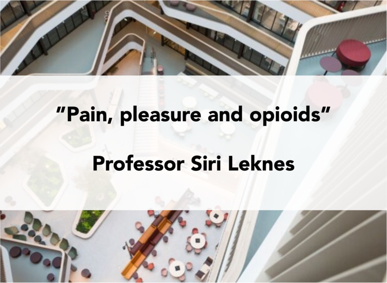 Pain, pleasure and opioids. - Prof. Siri Leknes