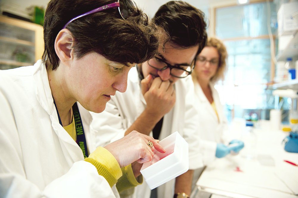 Forskare i laboratorium vid Karolinska Institutet