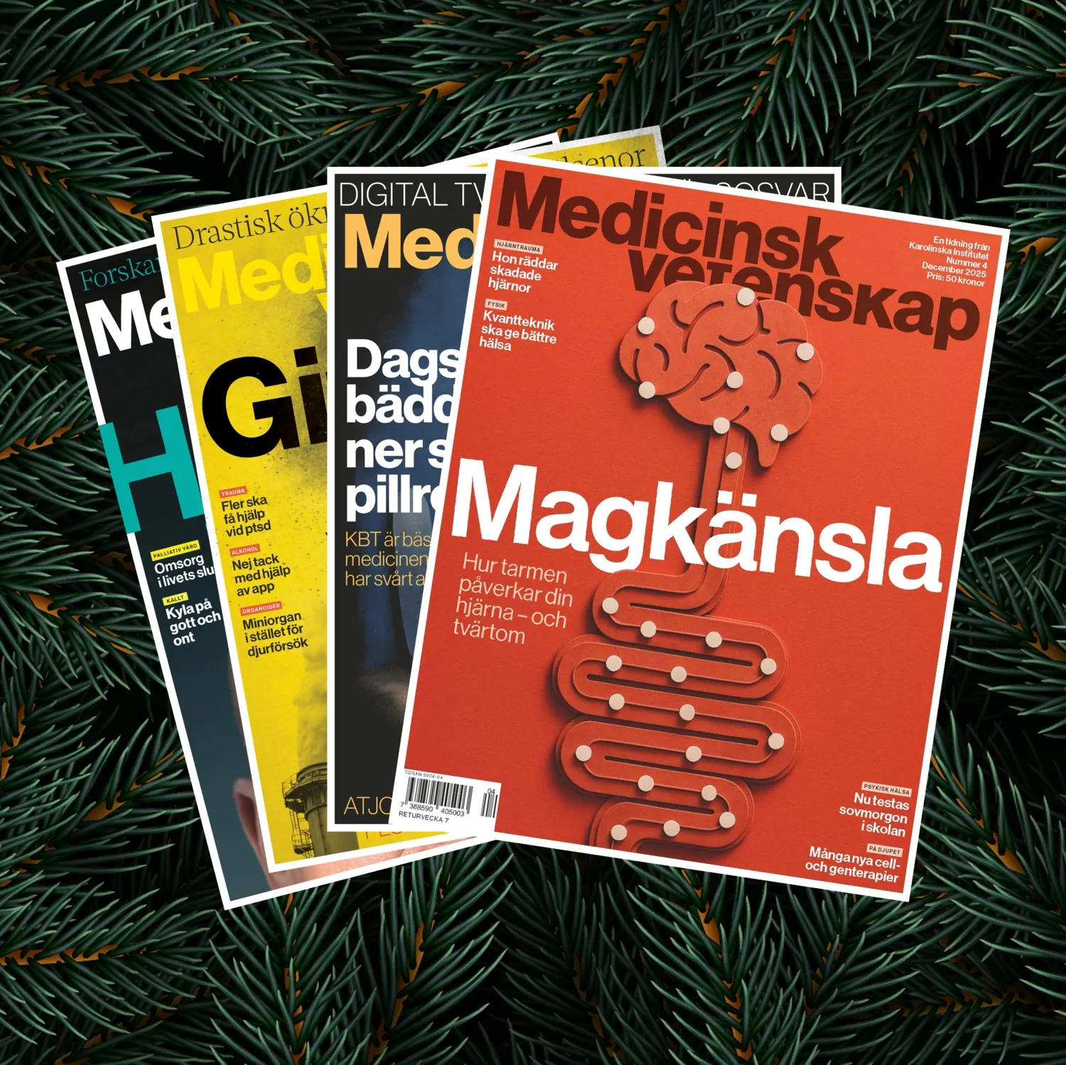 Fyra omslag Medicinsk Vetenskap 2025 julbakgrund