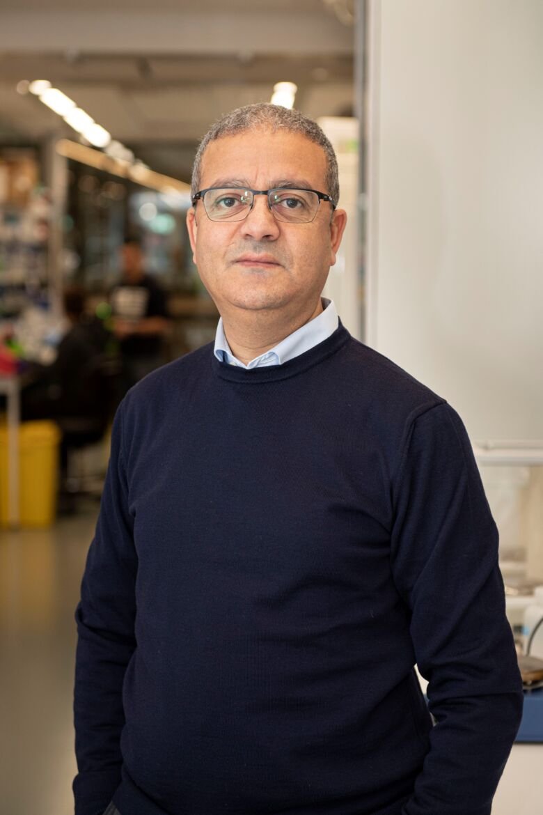 Abdel El Manira, Professor at the Department of Neuroscience, Karolinska Institutet