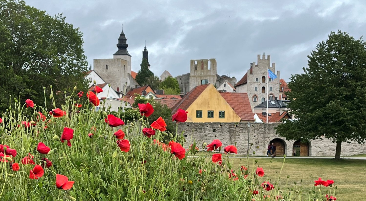 Almedalen i Visby