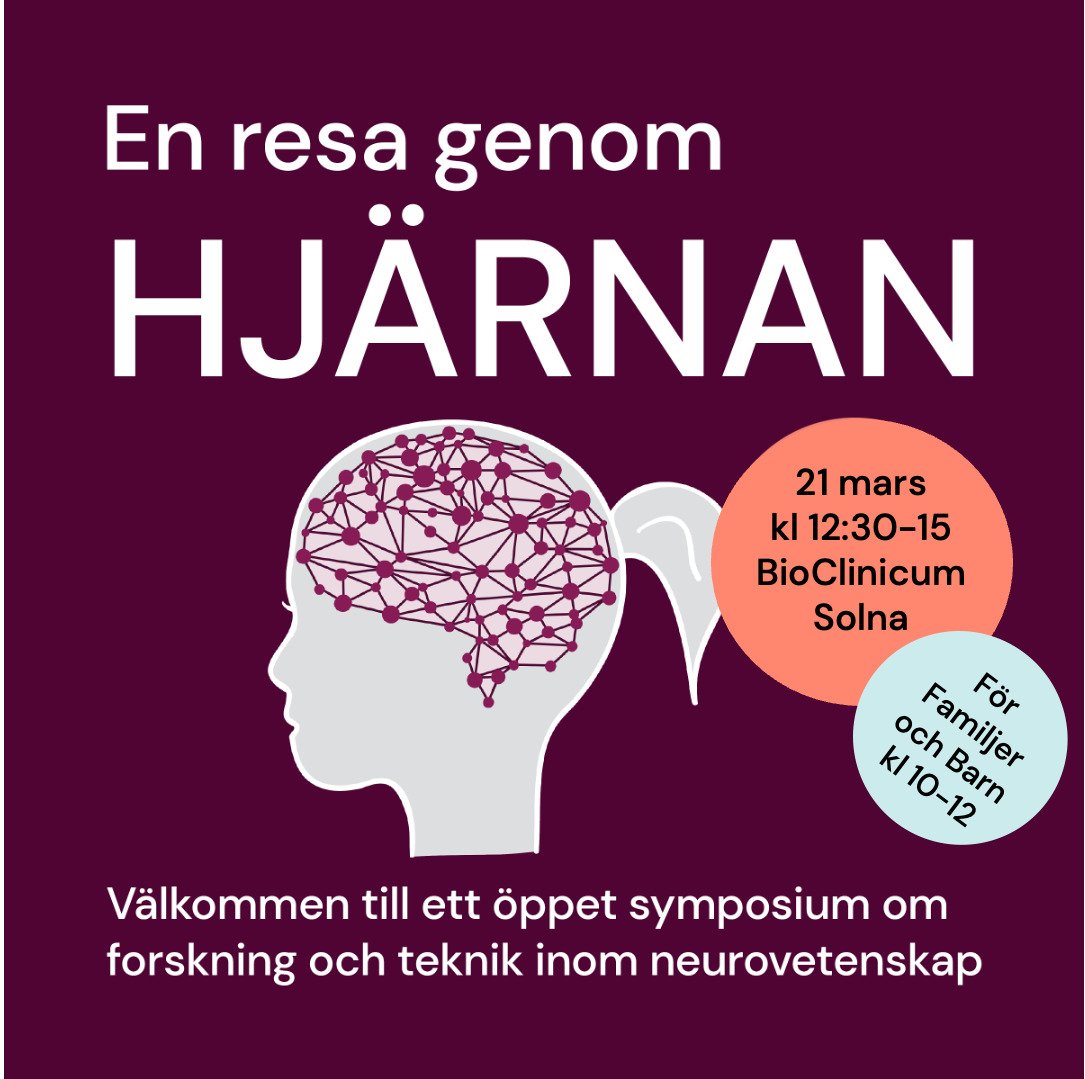 En resa genom hjärnan