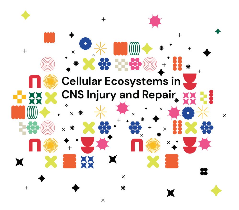 CNS injuries and repair