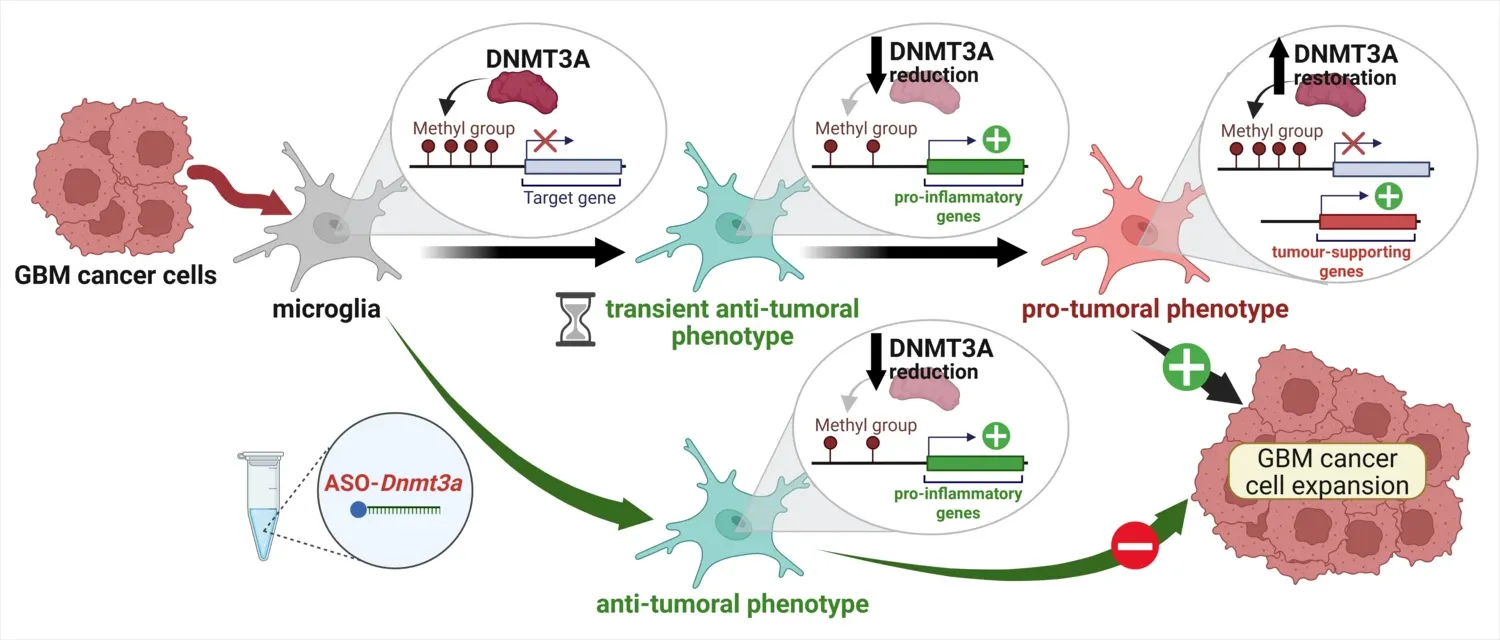 Cheray and Joseph, IMM 2026