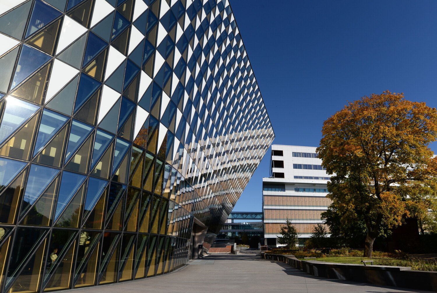 Glasfasaden på Aula Medica. Bredvid står ett stort träd med färgglada löv.