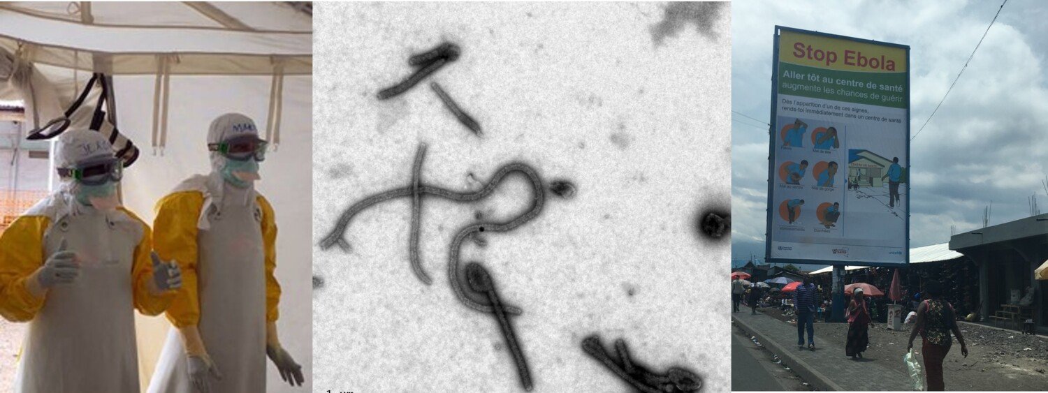 Tre bilder, från vänster: sjukvårdspersonal i skyddskläder, ebolavirus i mikroskop, en skylt med information om ebola på franska