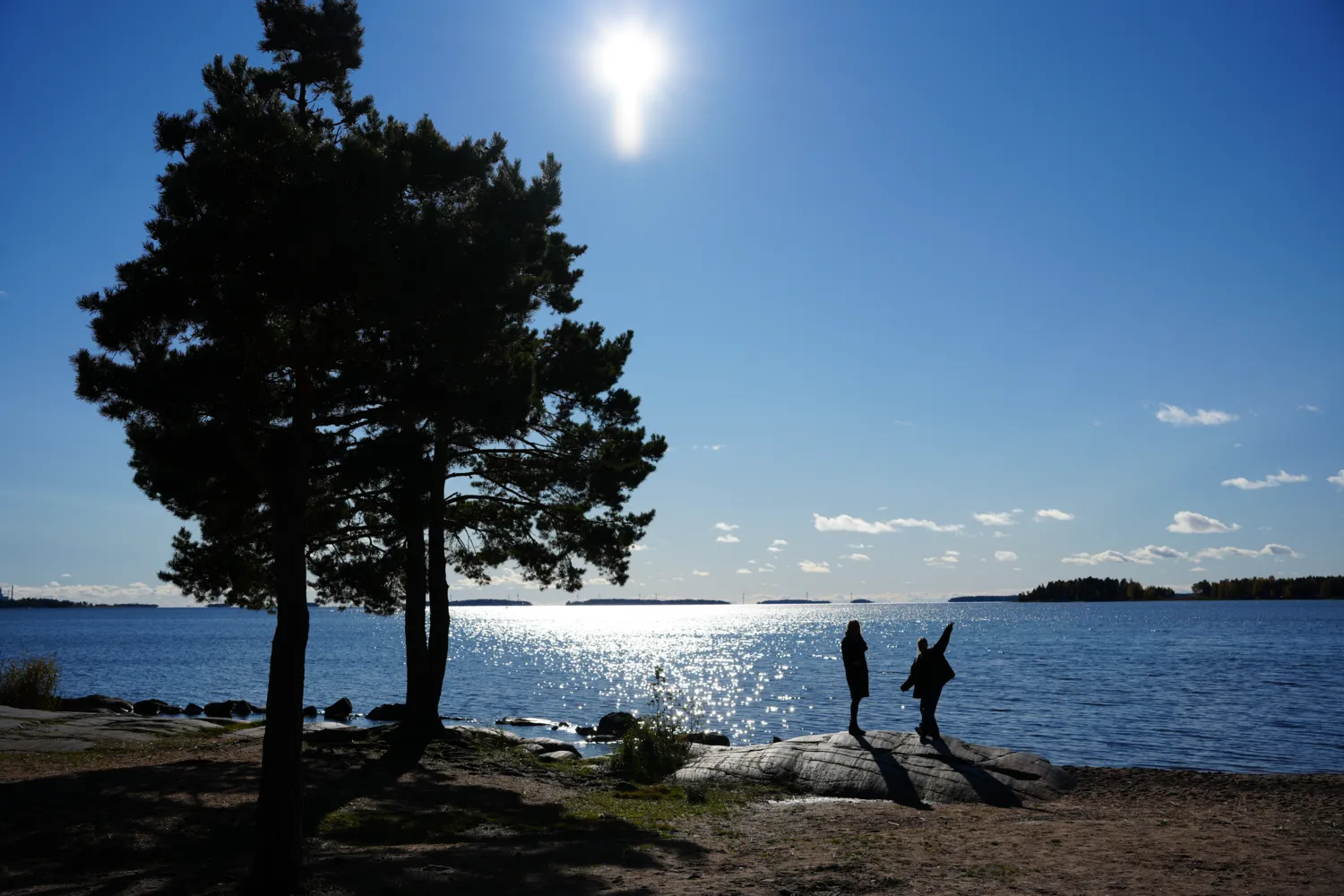 En naturbild vid Värnen en solig dag och två personer som håller handen och hoppa upp i luften.