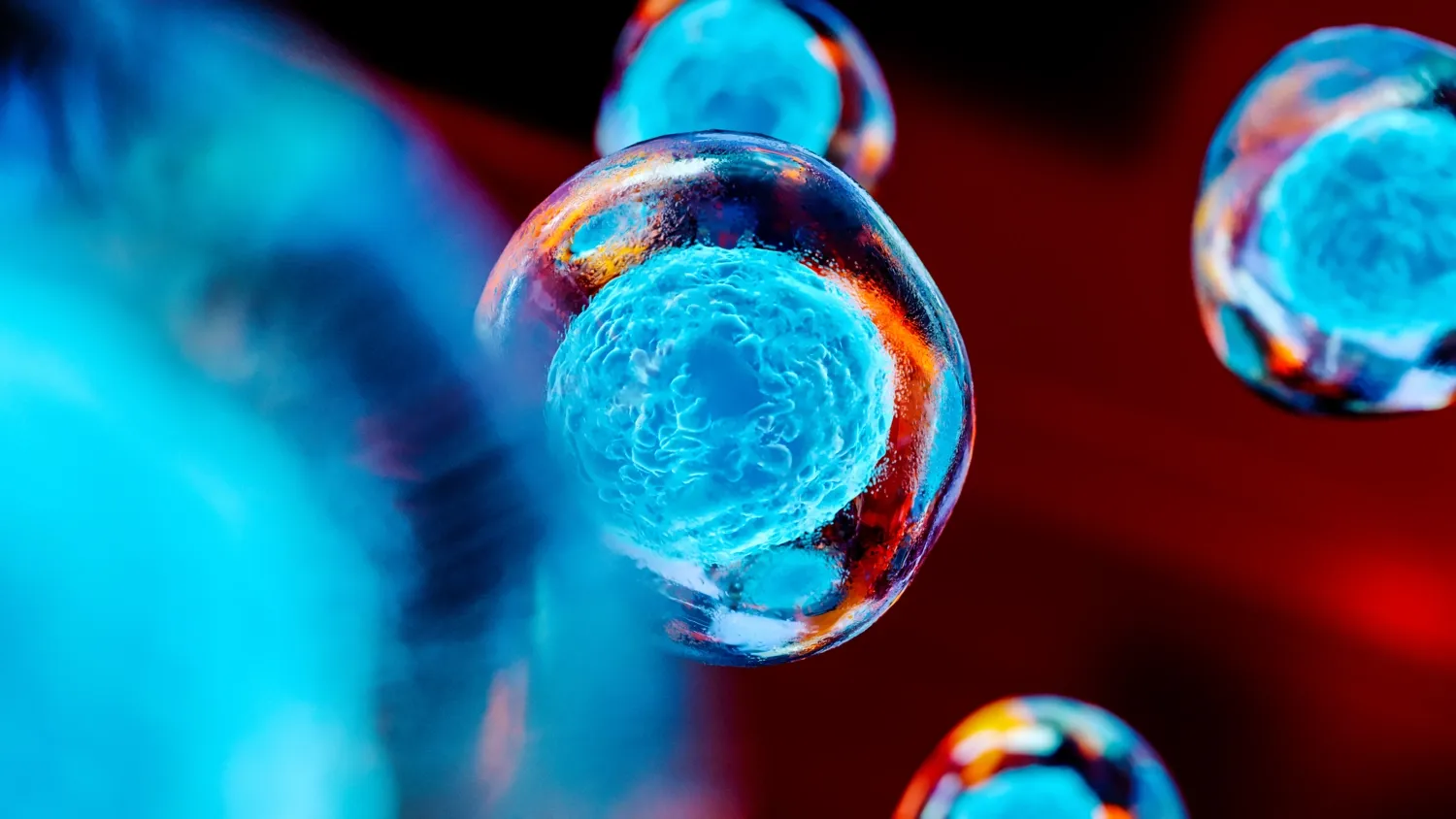 Mänskliga stamceller