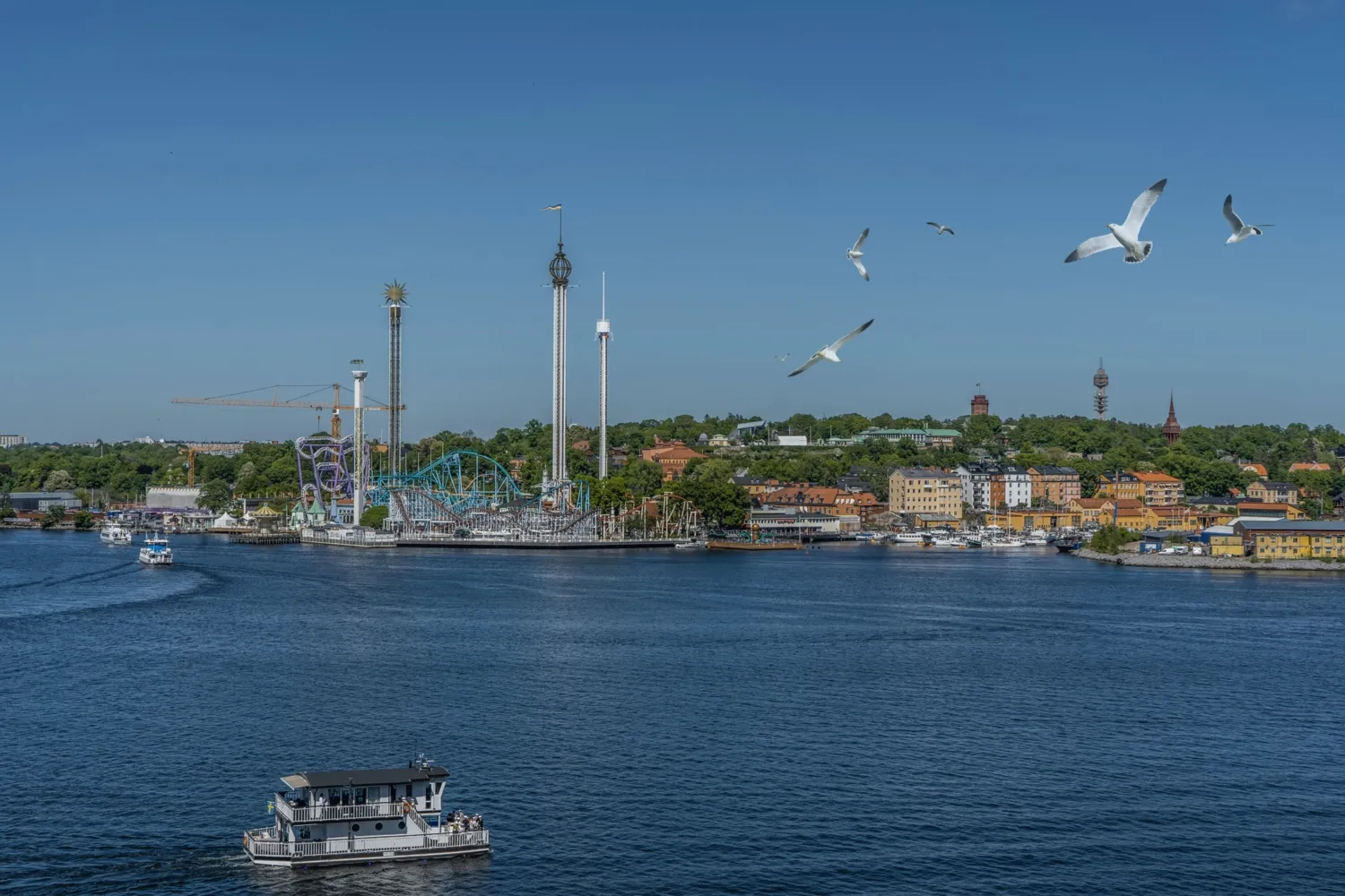 Vy över vattnet och Djurgården med Gröna Lund i förgrunden. Blå himmel och måsar som flyger.