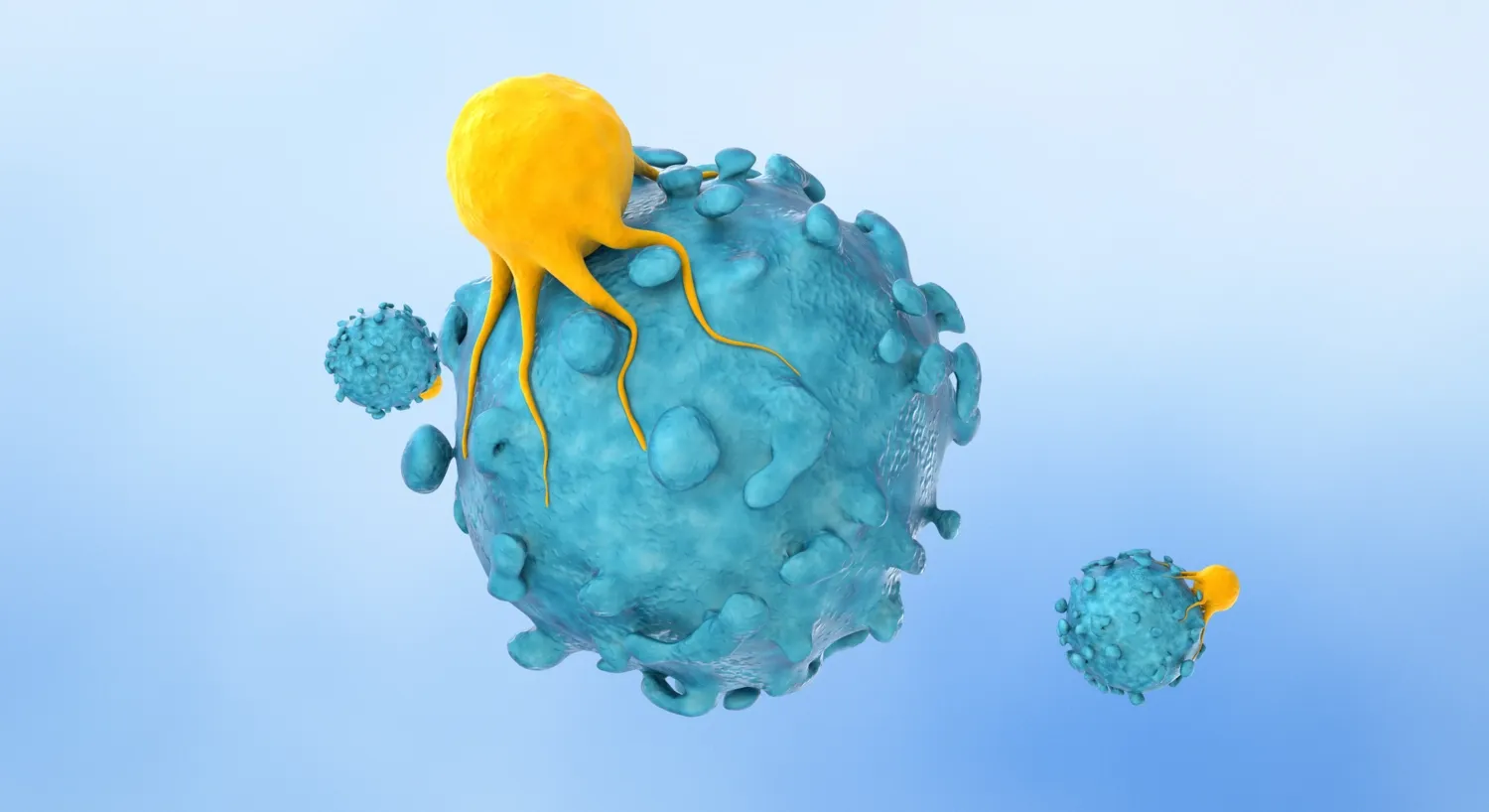 Illustration av t-cell som angriper cancercell.