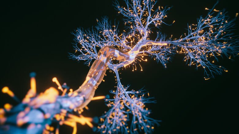 3D-renderad bild av neuroncell.
