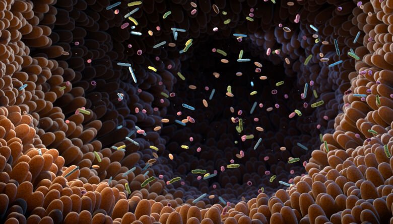 3d-illustration av tarmmikrobiom och bakterier.