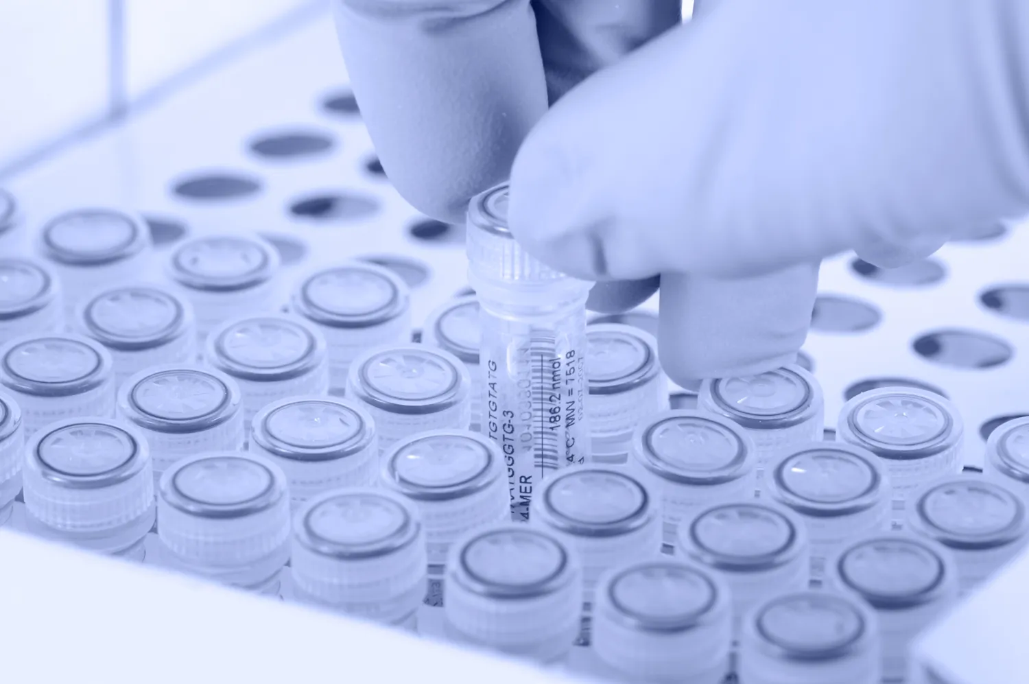Forskare tar bort ett provrör och har en handske på handen. Ljusblå ton applicerad på bilden.