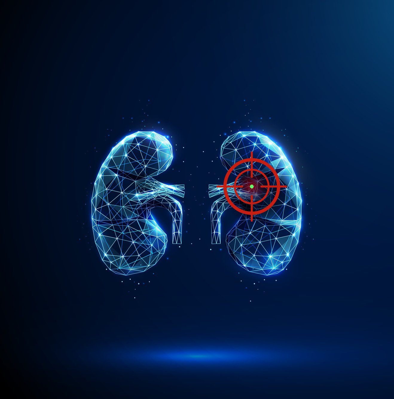 Dekorativ illustration av njure med hårkors