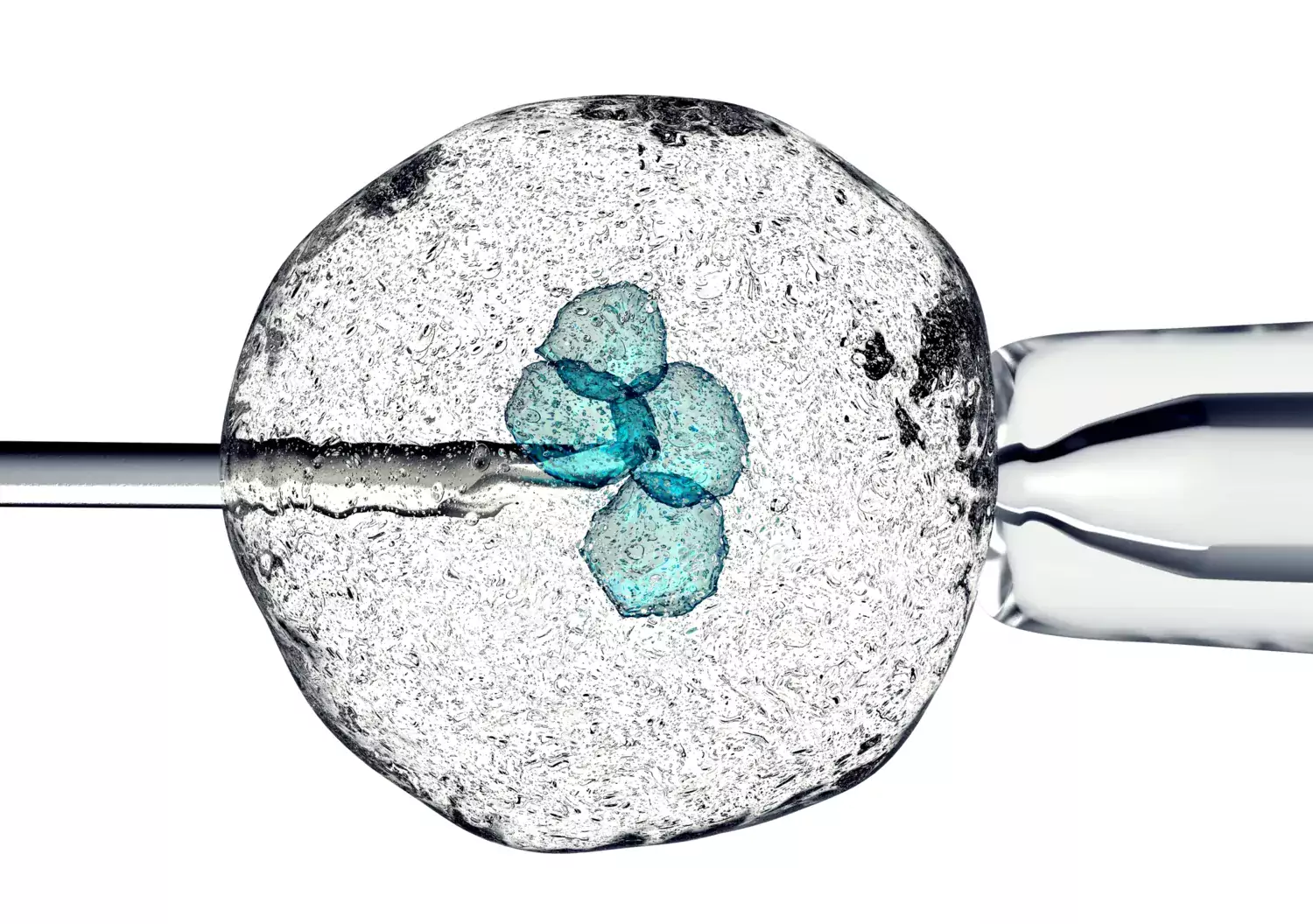 Cell som hålls av en pipett och en nål. 3D-rendering.