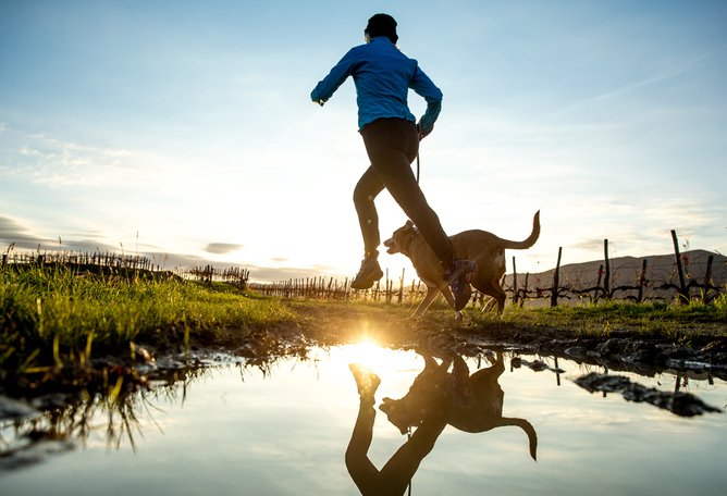 Foto: Getty Images