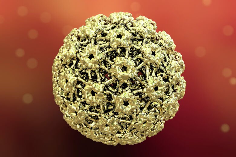 Illustration of human papilloma virus