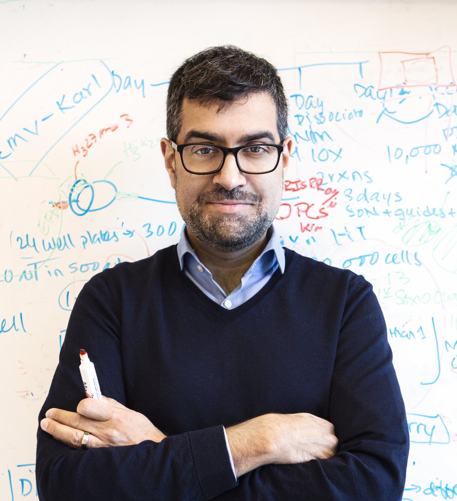 Porträtt av Goncalo Castelo-Branco