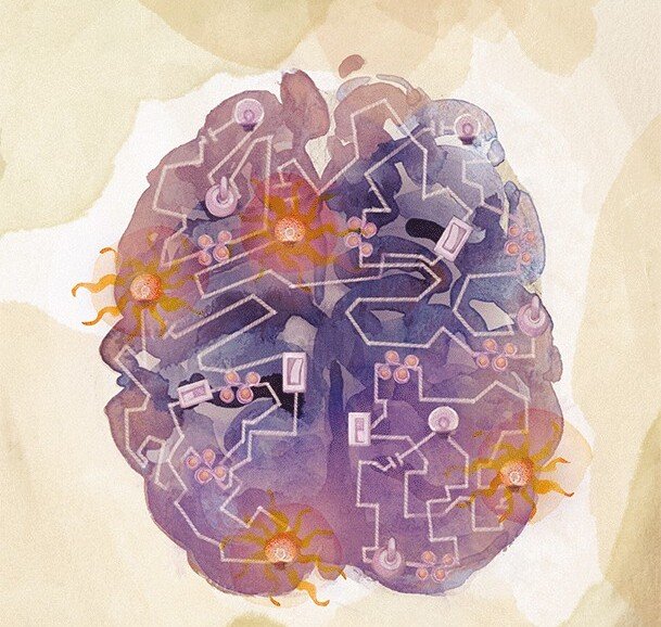 Illustration Castelo- Branco labb, MBB