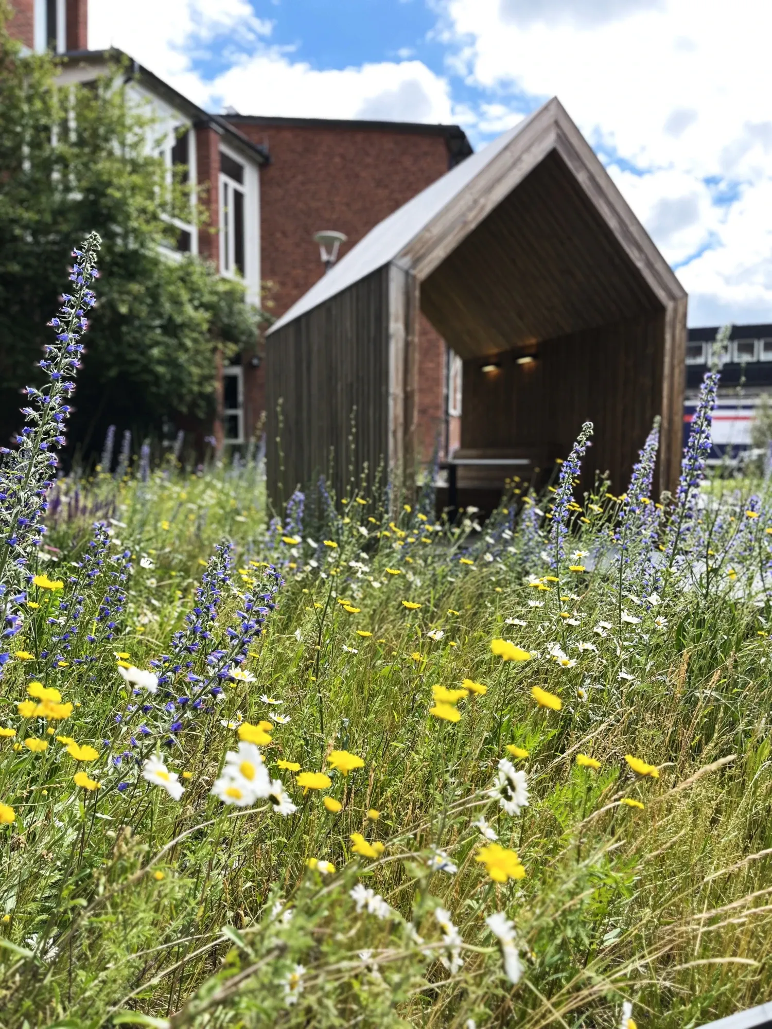Byggnader och blommor på campus Solna.