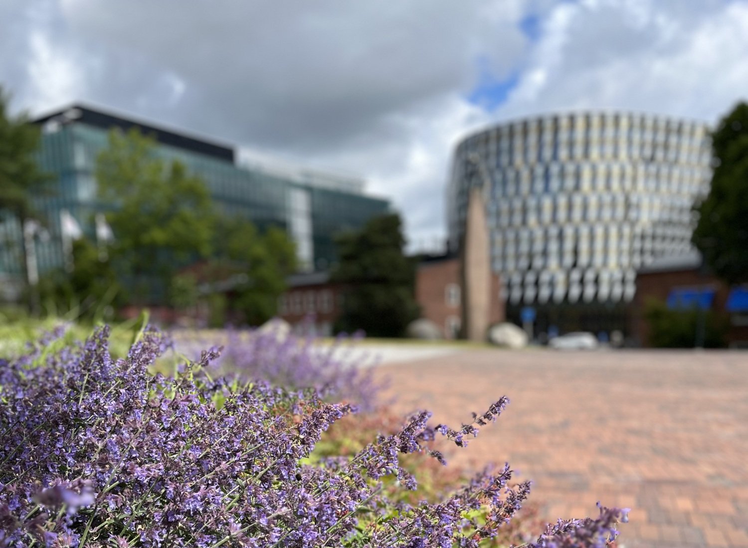 Byggnader och blommor på campus Solna.