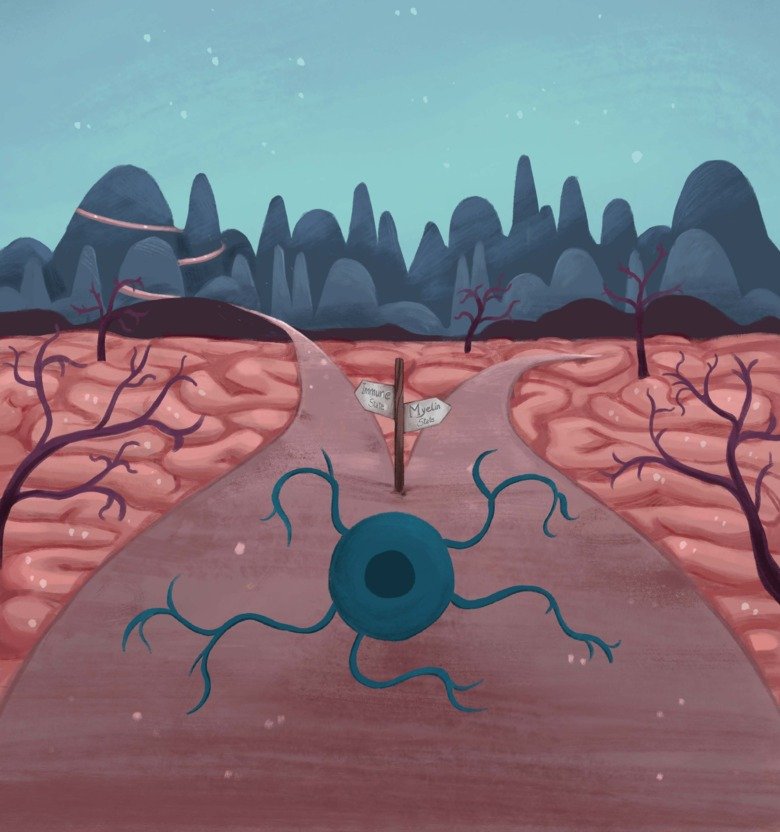 Illustration av oligodendroglia vid ett vägskäl i multipel skleros.
