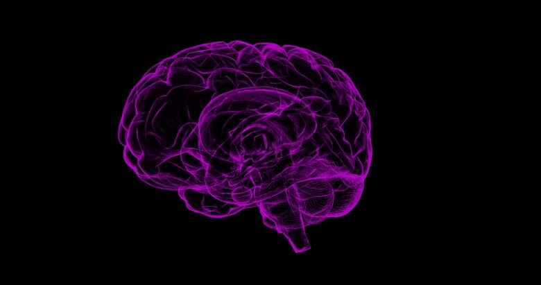 Avbildning av hjärnan (lila) mot mörk bakgrund.
