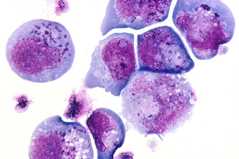 Vetenskaplig bild av celler och virus.