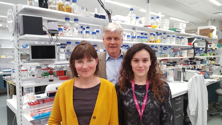 Joanna Rorbach, Nils-Göran Larsson and Miriam Cipullo, researchers at the Department of Medical Biochemistry and Biophysics