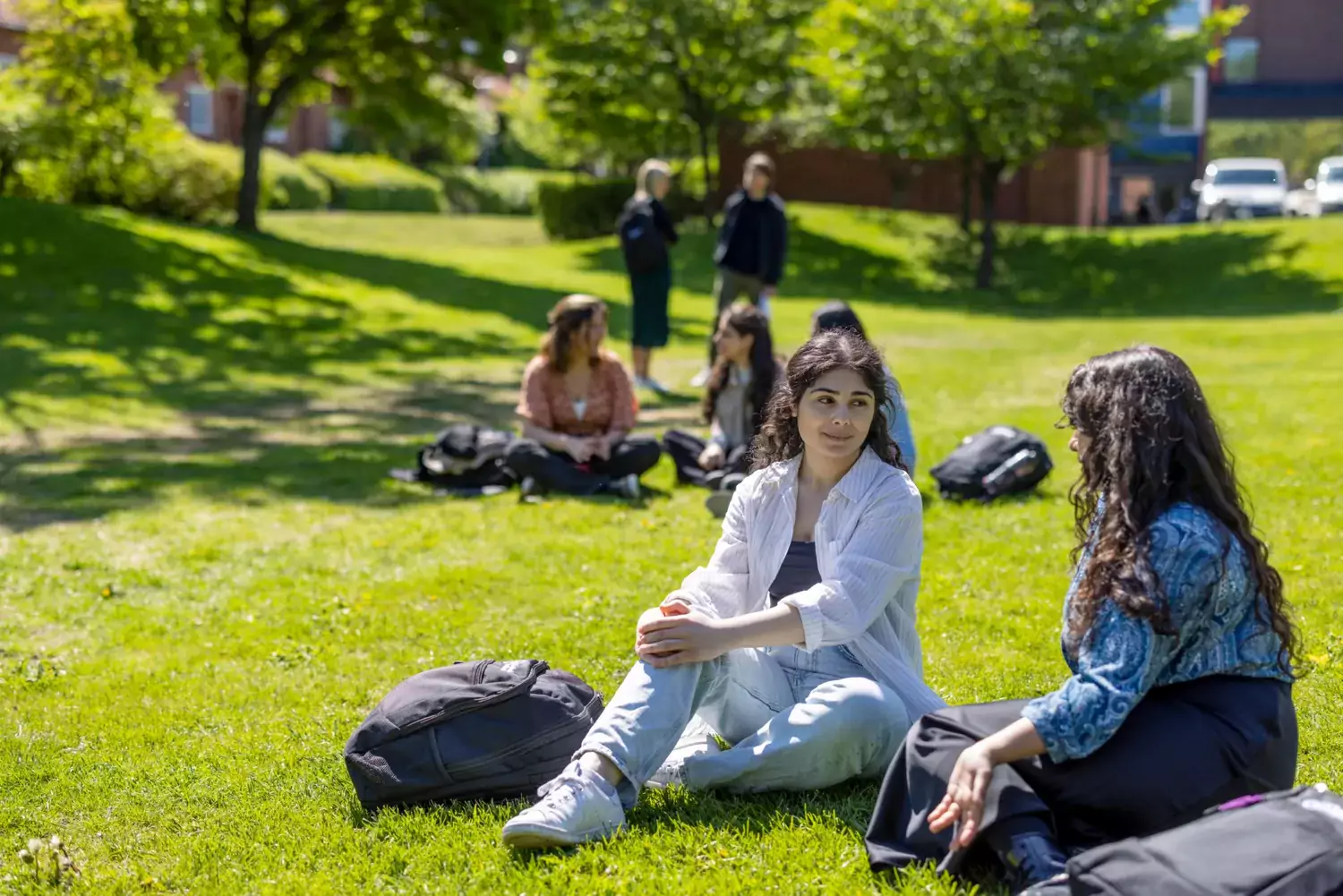 Studenter som sitter på en gräsmatta på campus Solna i solen.