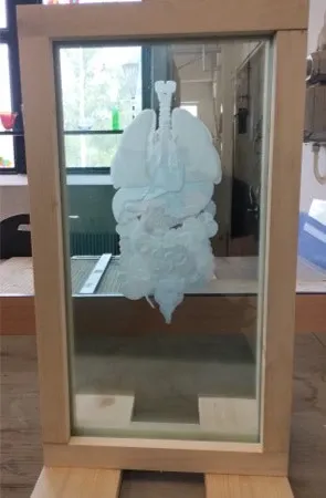 Glasskulptur som visar lungor.