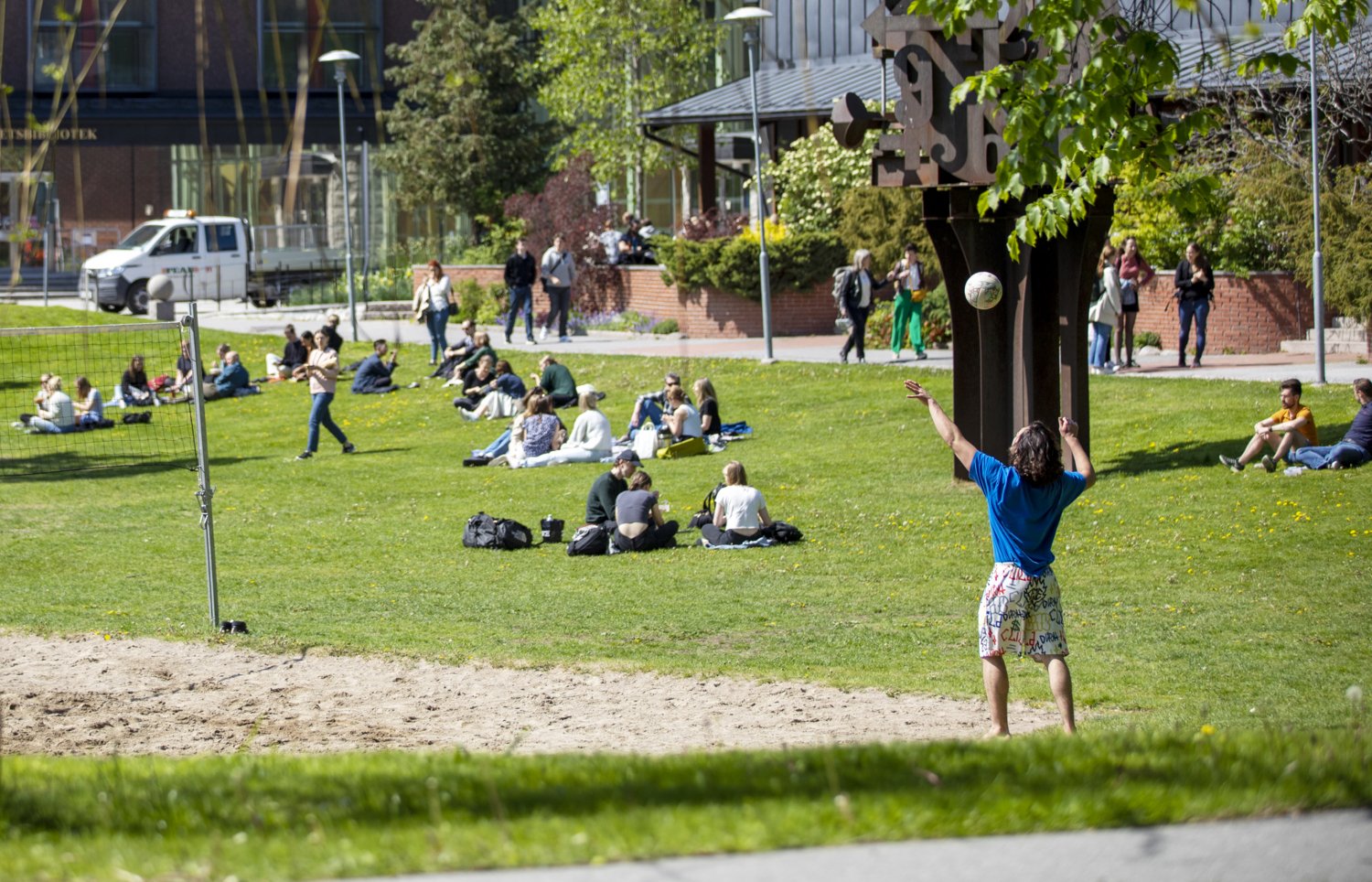 Studenter och medarbetare vid gräsmattan på campus Solna, spelar volleyboll och sitter i solen.