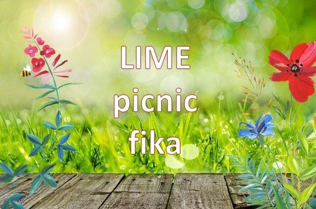LIME picnic fika