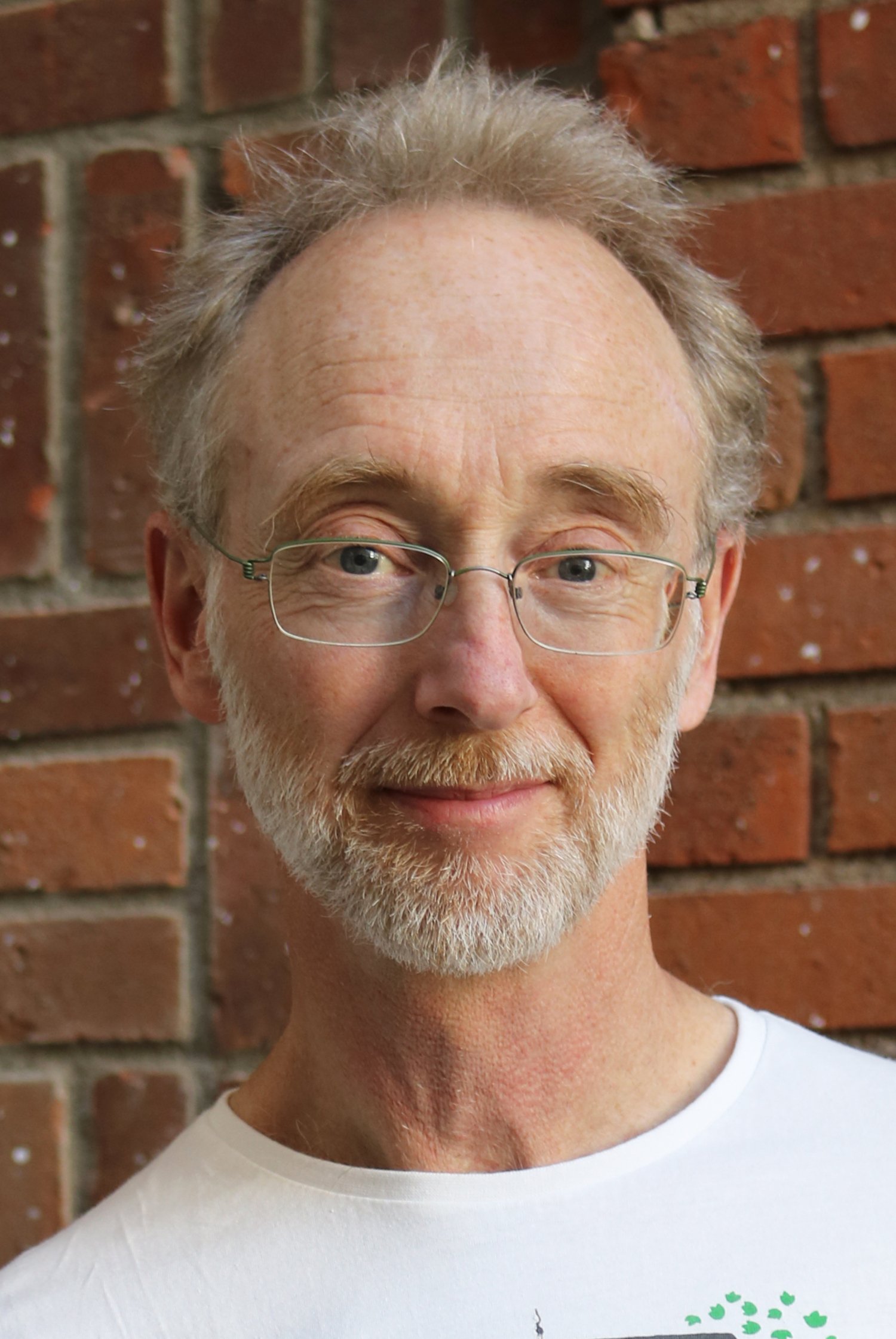 Professor Jonas Ludvigsson