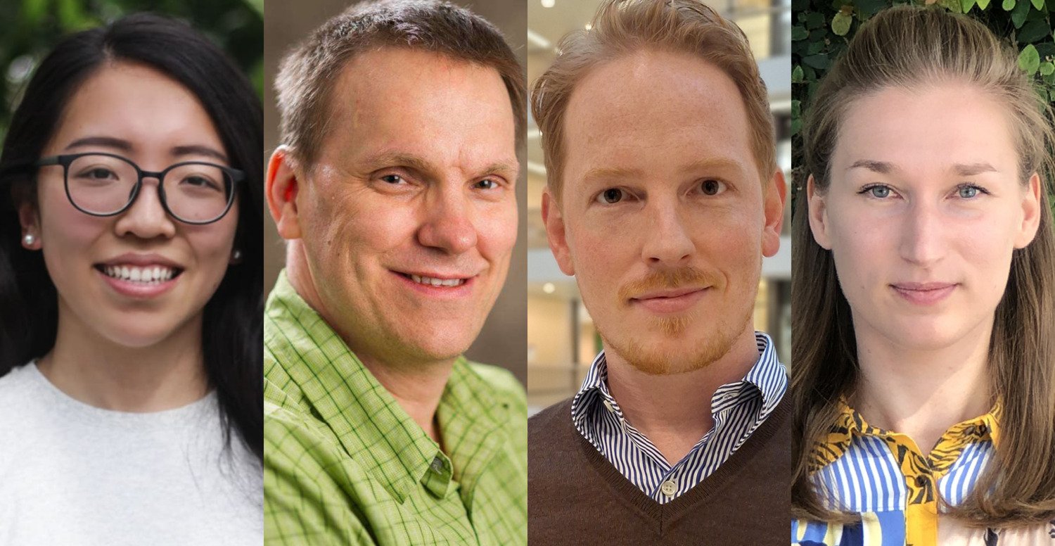 Mats Sundin Fellowship