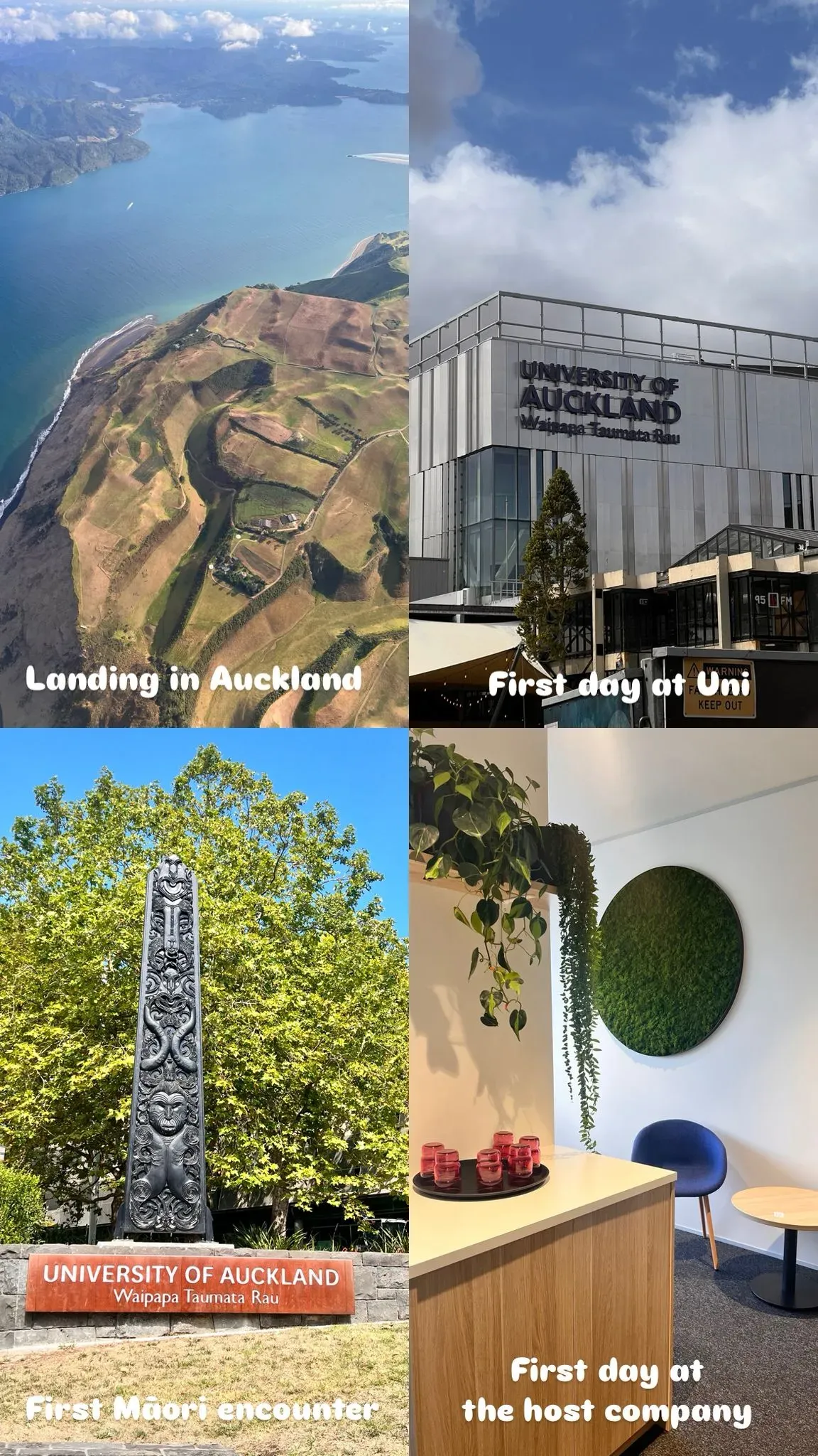 Collage från Marianas utbtyesrapport med bilder från Nya Zeeland