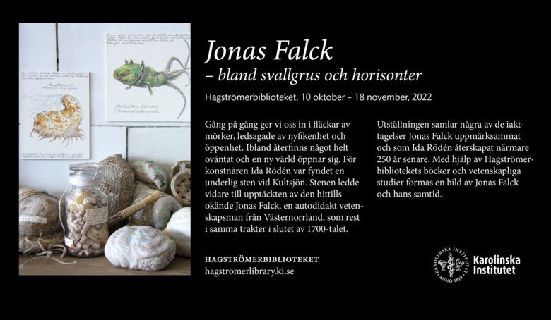 Jonas Falck - bland svallgrus och horizonter - Utställning av Ida Rödén på Hagströmerbiblioteket