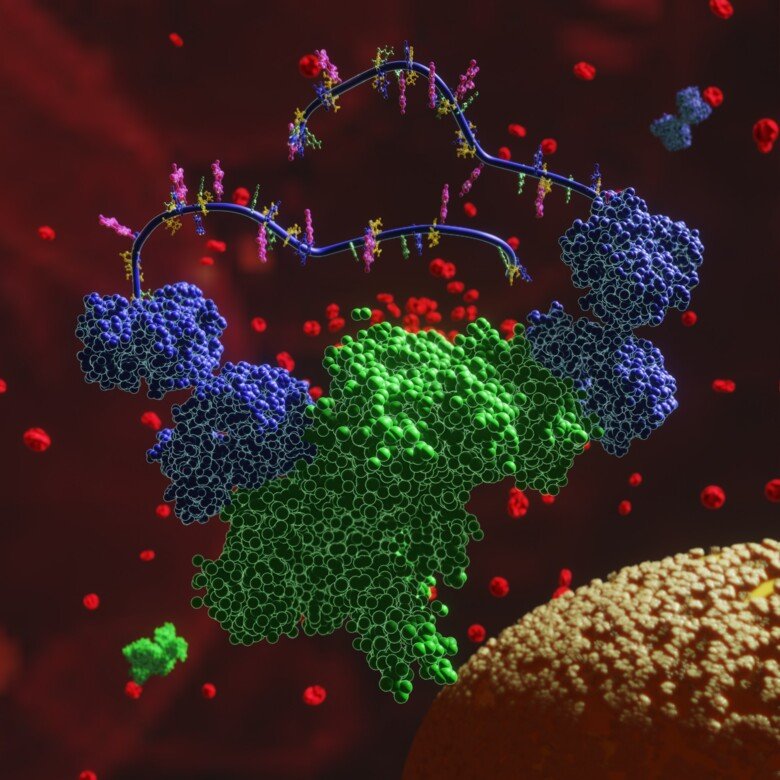 An illustration of the Olink technology named Proximity Extension Assay (PEA), where specific antibodies are bound to DNA and function as a signaling system for detection of specific proteins.