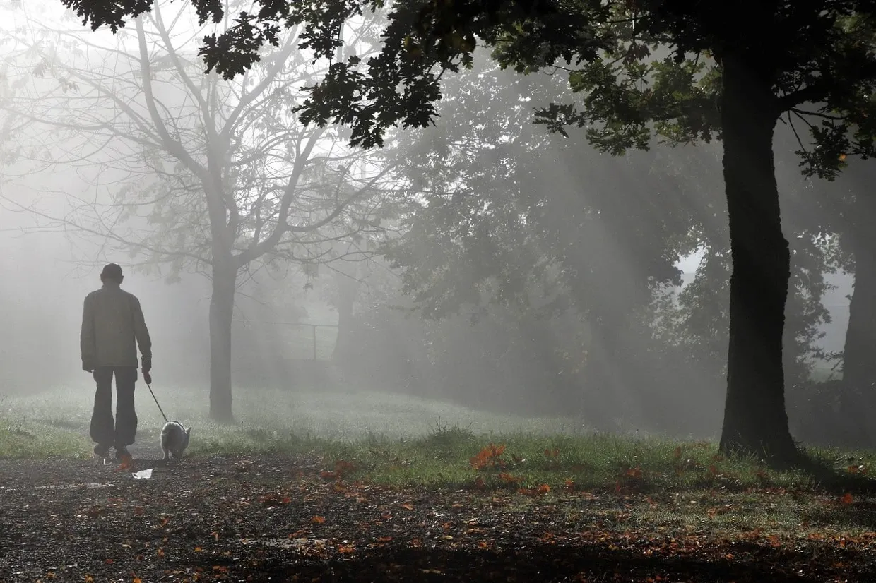 Person går med hund i koppel i dimmig skog.