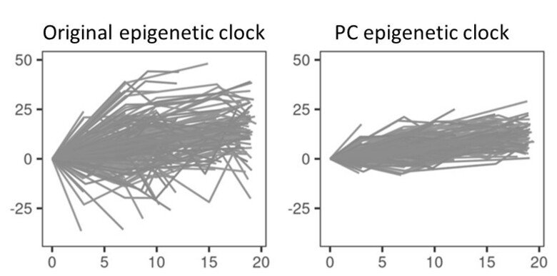 Figur över hur tillförlitligheten för en epigenetisk klocka förbättras genom principalkomponentanalys.