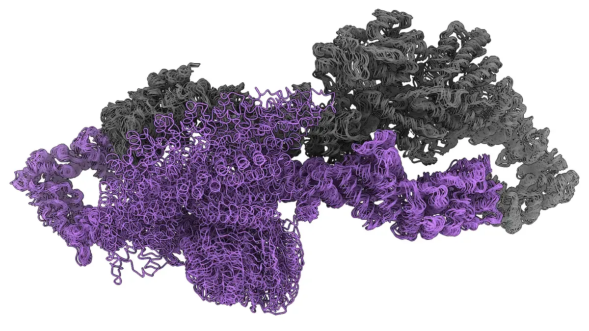 3D-illustration av ett protein i lila och grått.