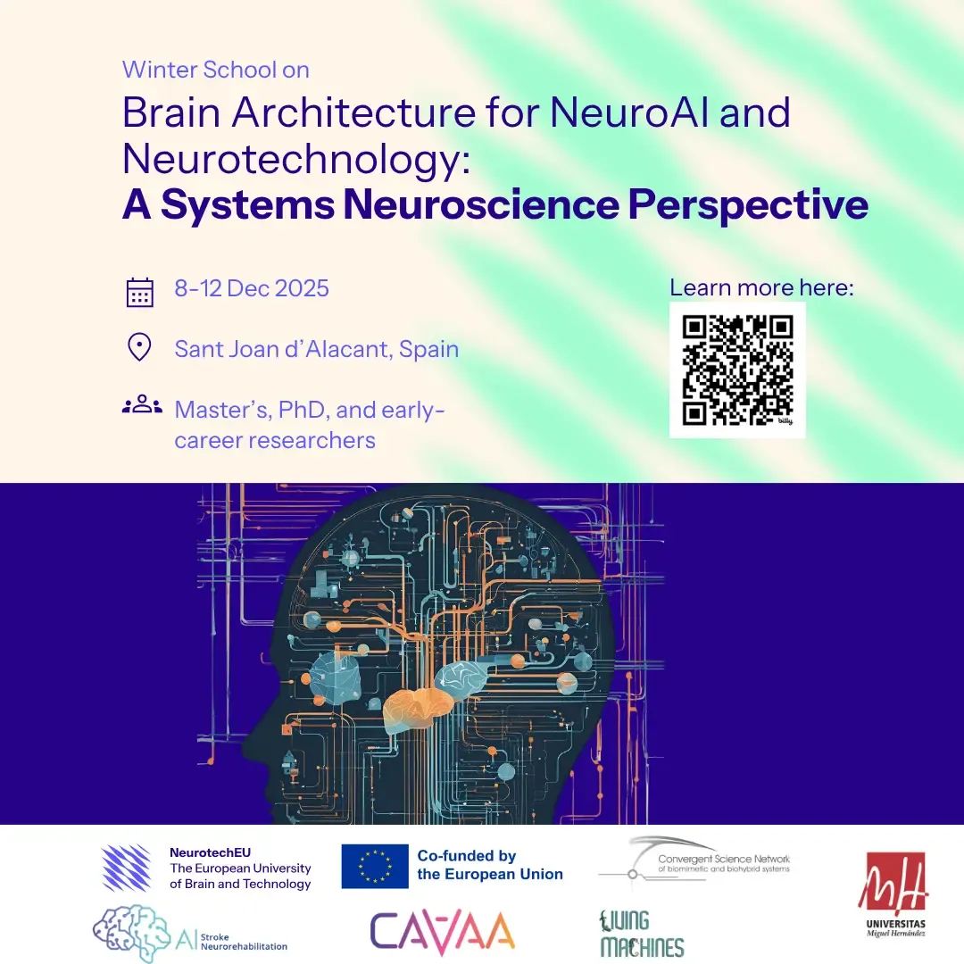 Winter School on Brain Architecture for NeuroAI and Neurotechnology