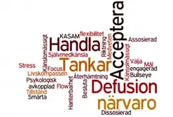 Ordmoln om delar inom ACT