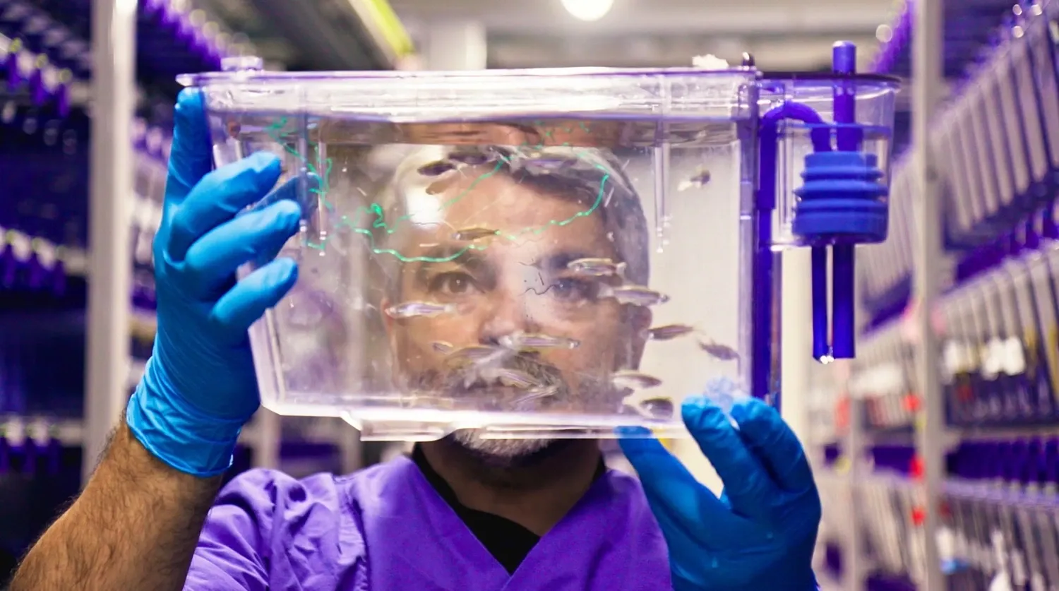 KI-forskaren Eduardo Villablanca i faciliteten för zebrafiskar.